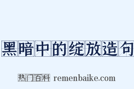 黑暗中的绽放造句是什么意思的图片